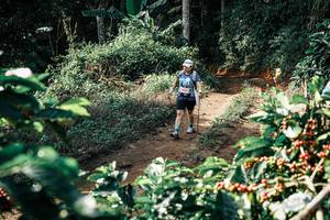 BIB: 
                            <button type="button" onclick="openModal(25856832)" class="btn btn-primary btn-sm float-right btn-popup" data-toggle="modal" data-target=".modal-high-quality">
                        <i class="fas fa-shopping-cart"></i> Add to Cart
                    </button>
                                            <button type="button" onclick="isThisMe(25856832, true)" class="btn btn-success btn-sm float-right btn-popup btn-isme hidden" data-toggle="tooltip" data-placement="bottom" title="นี่คือรูปของคุณใช่ไหม คลิกที่นี่เพื่อเอาเข้าอัลบั้ม">
                        <i class="fas fa-plus"></i> Add to album
                    </button>
                    <button type="button" onclick="isThisMe(25856832, false)" class="btn btn-warning btn-sm float-right btn-popup btn-isnotme hidden">
                        <i class="fas fa-ban"></i> Remove from album
                    </button>